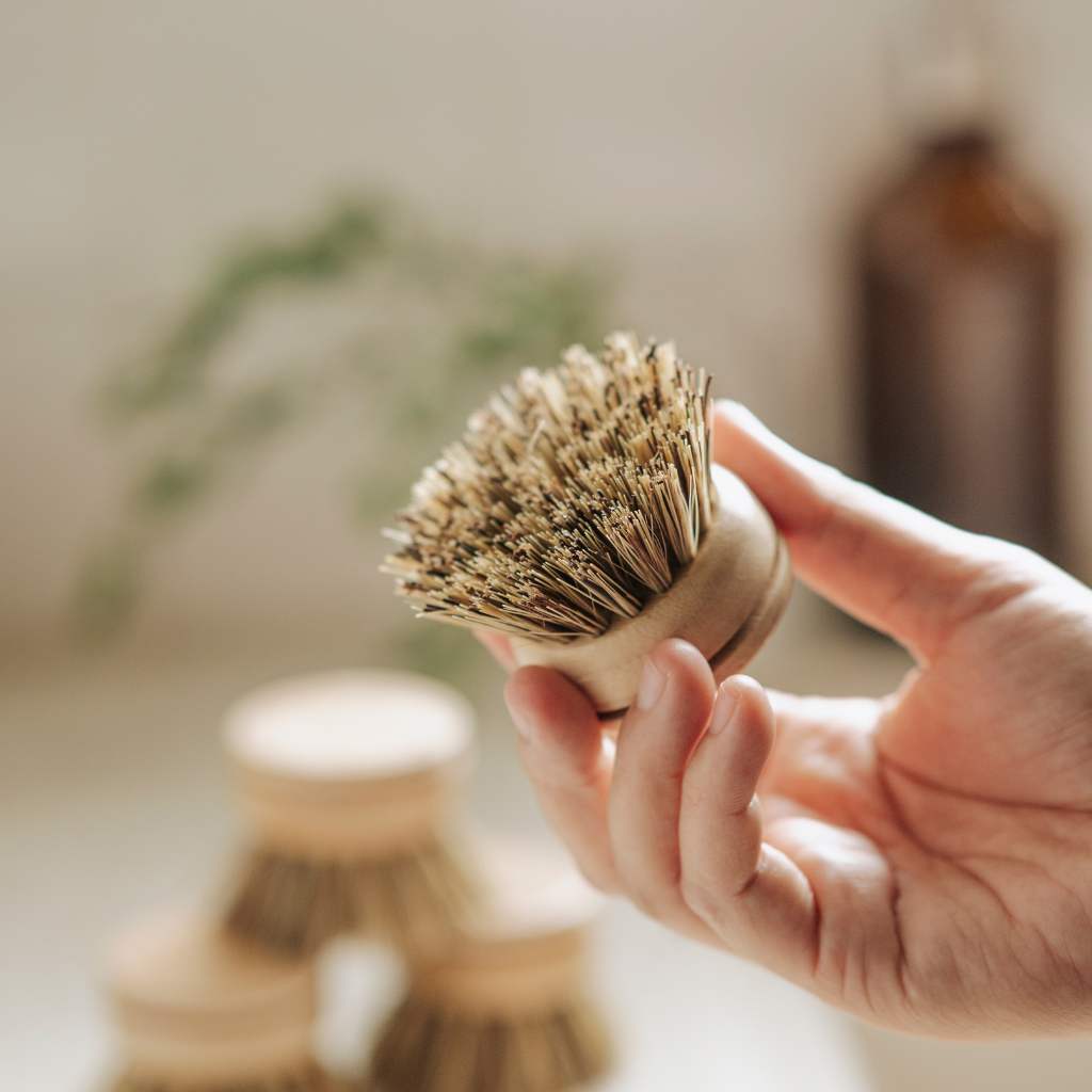 Spazzole Naturali per Piatti