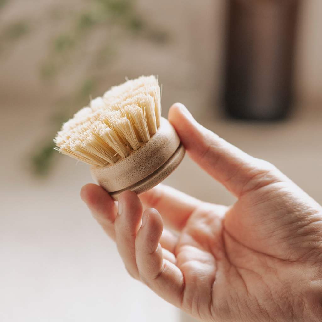 Spazzole Naturali per Piatti